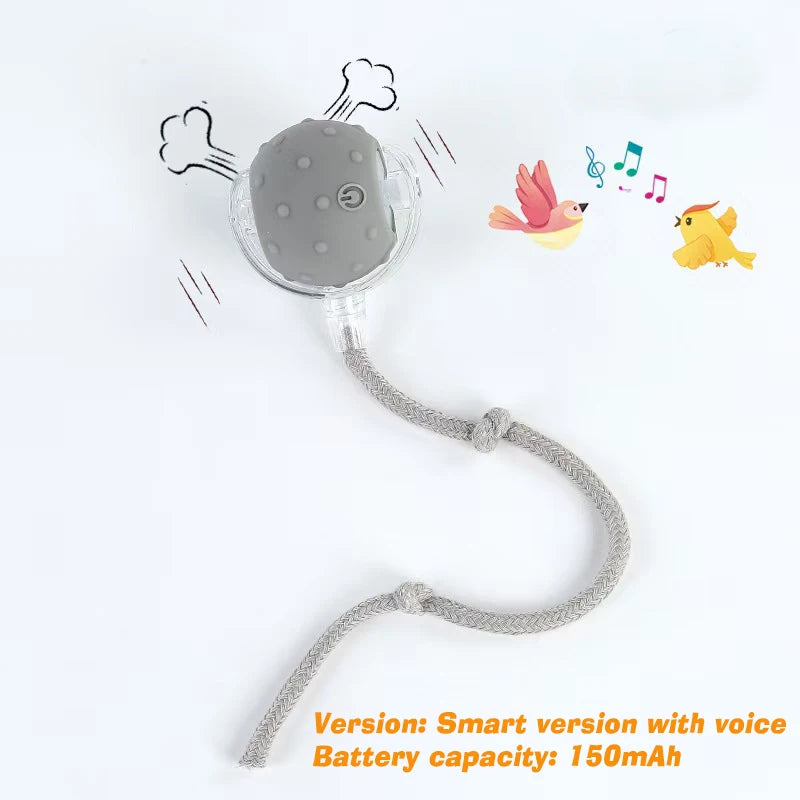 Smart Motion Pet Ball