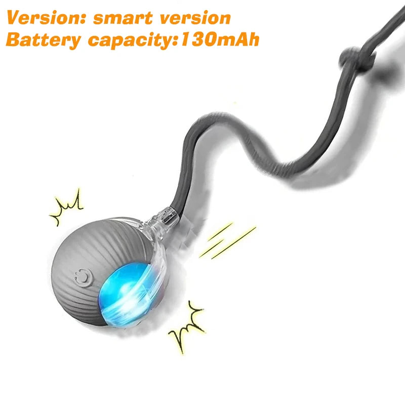 Smart Motion Pet Ball