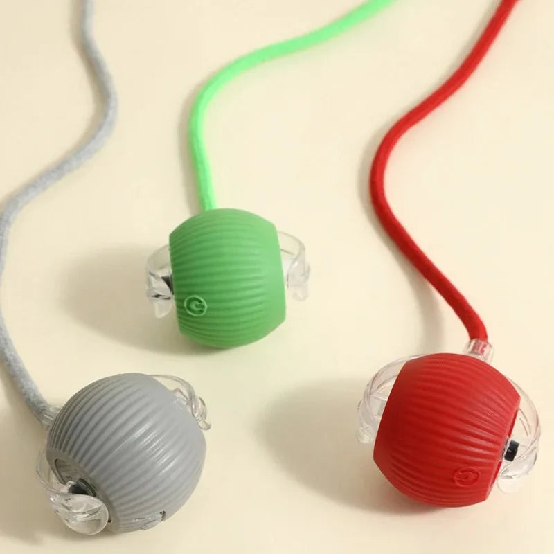 Smart Motion Pet Ball