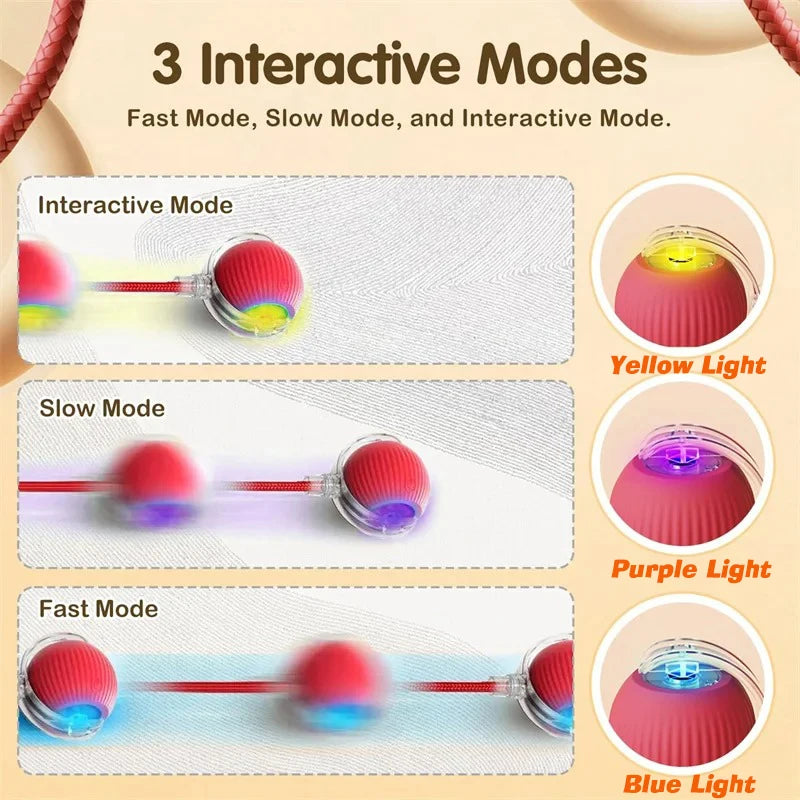 Smart Motion Pet Ball