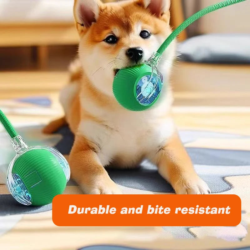 Smart Motion Pet Ball