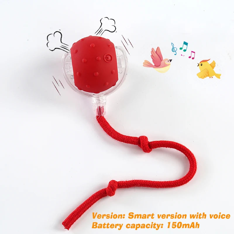 Smart Motion Pet Ball