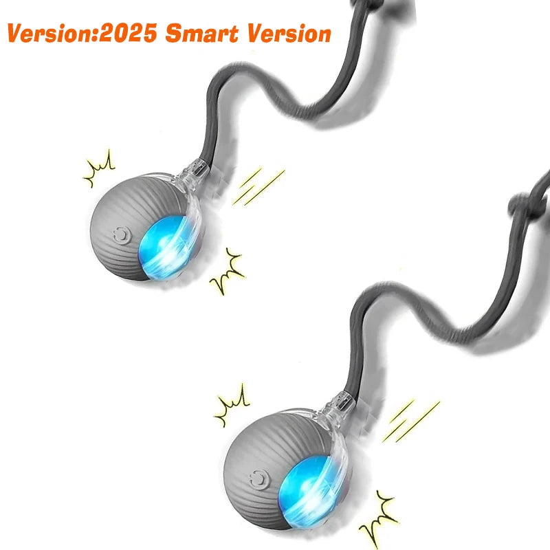 Smart Motion Pet Ball