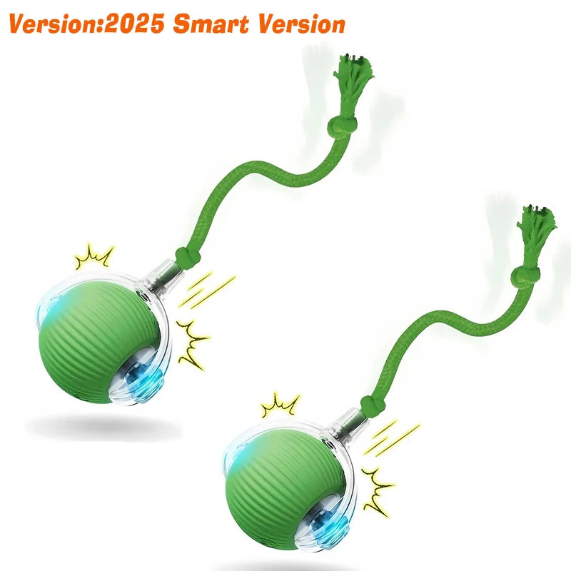 Smart Motion Pet Ball