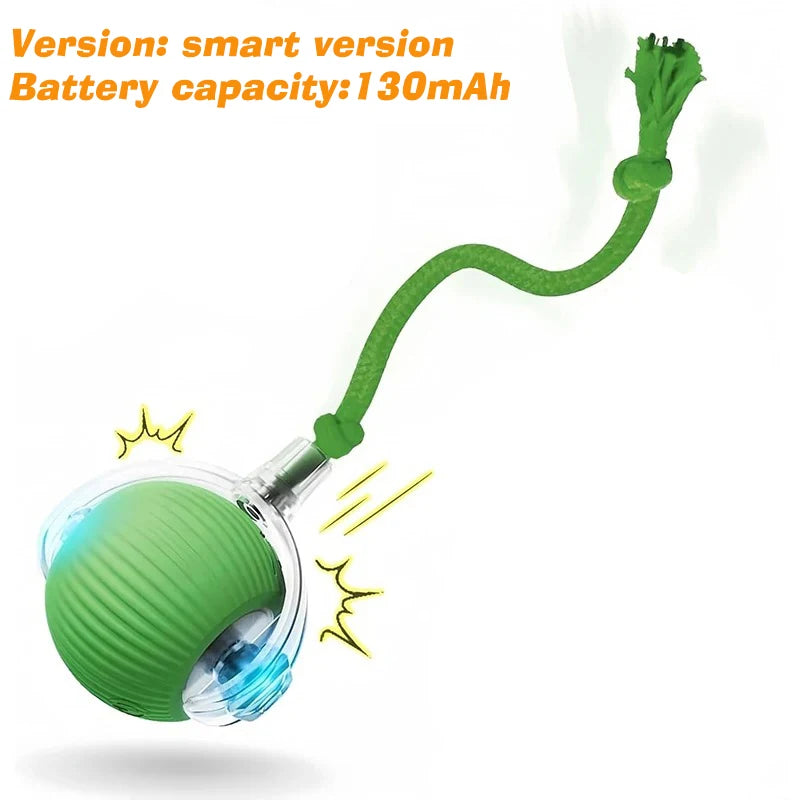 Smart Motion Pet Ball