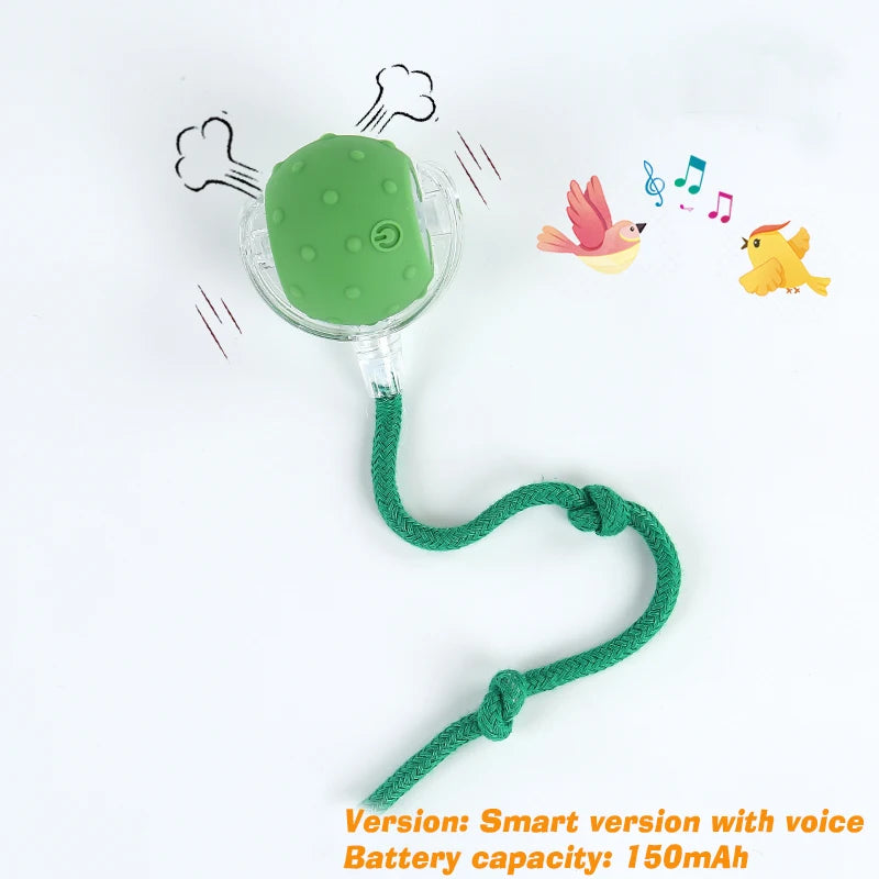 Smart Motion Pet Ball