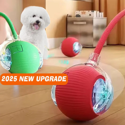 Smart Motion Pet Ball