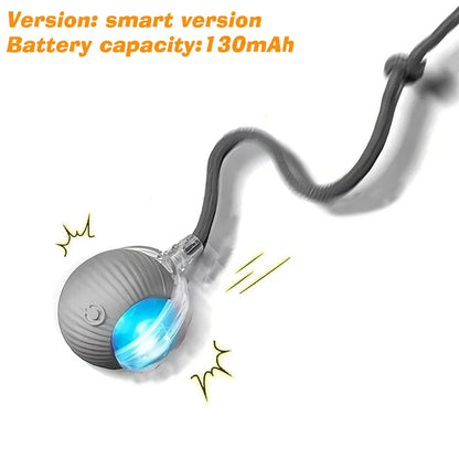 Smart Motion Pet Ball