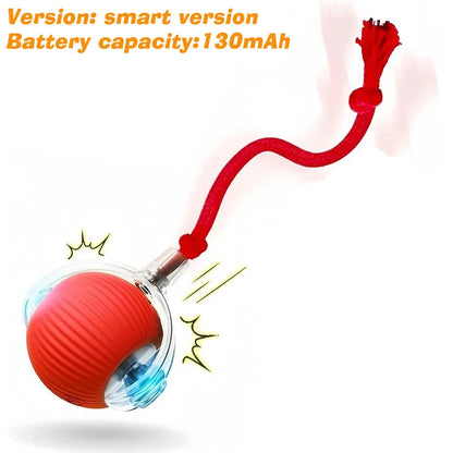 Smart Motion Pet Ball